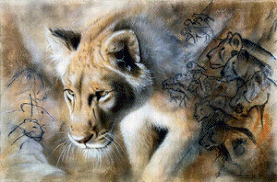 пума - животные, пума - предпросмотр