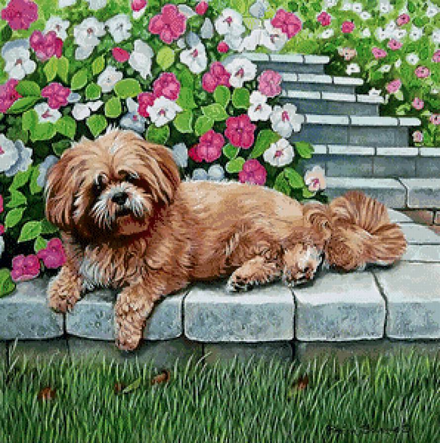 Серия "Друзья человека" - цветы, животные, собаки - предпросмотр