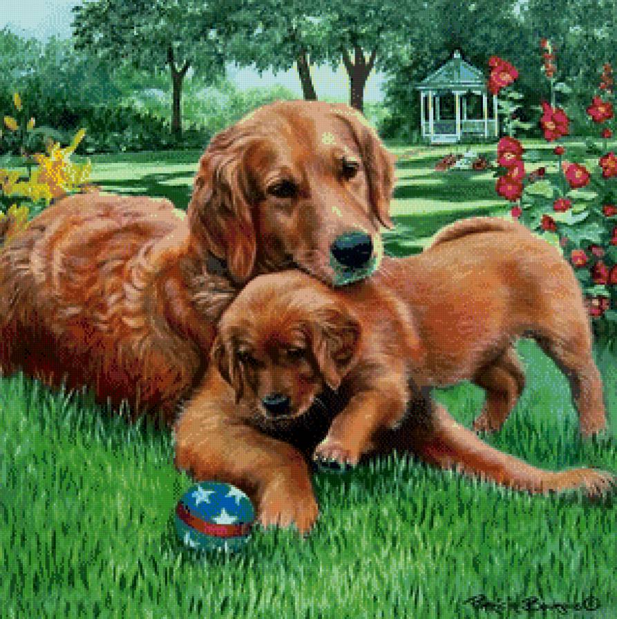 Серия "Друзья человека" - собаки, животные, лето - предпросмотр