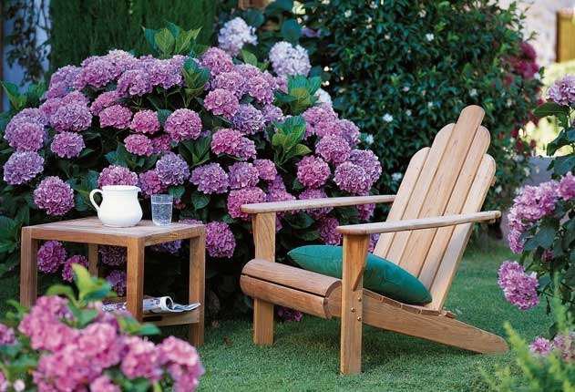 сад - оригинал