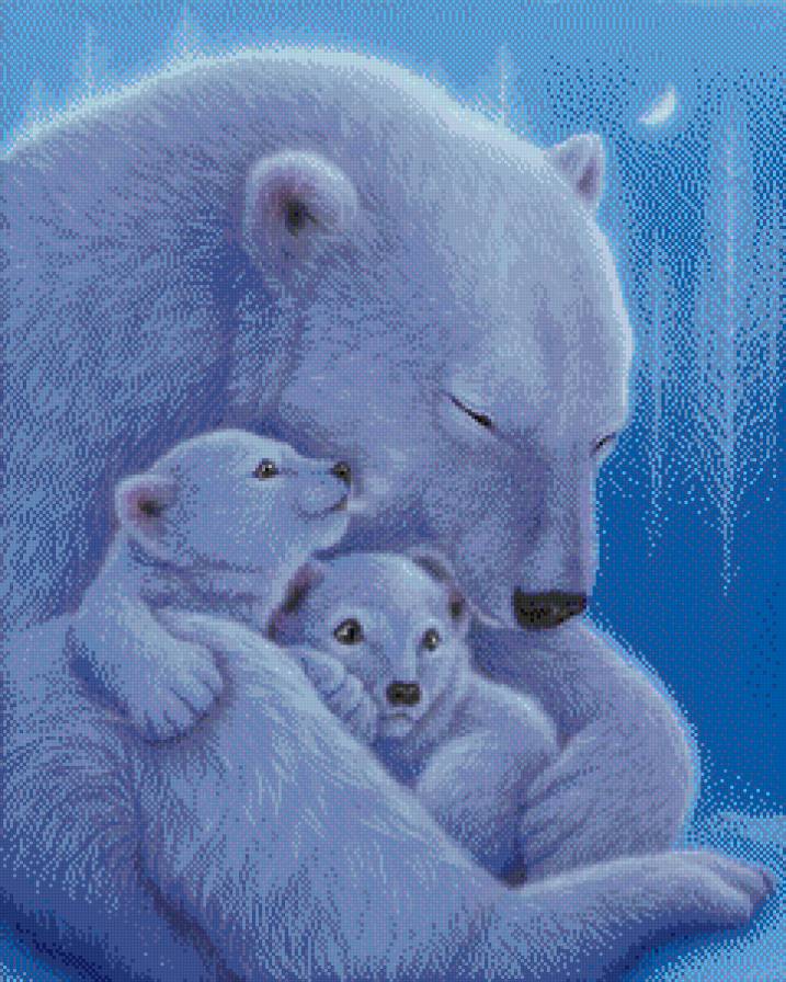 Семья белых - медведи, животные - предпросмотр