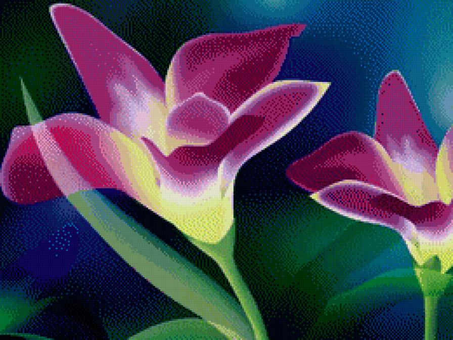 Цветы - натюрморт, цветы - предпросмотр