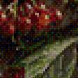 Предпросмотр схемы вышивки «Калина красная» (№530767)