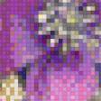 Предпросмотр схемы вышивки «Крастота цветов» (№530812)