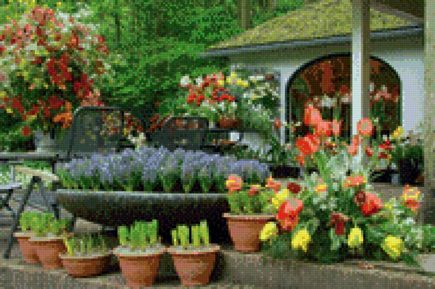 сад - предпросмотр