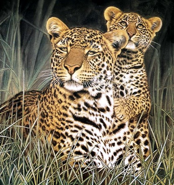 Серия "Хищники" - семья, животные, детеныши, леопарды - оригинал