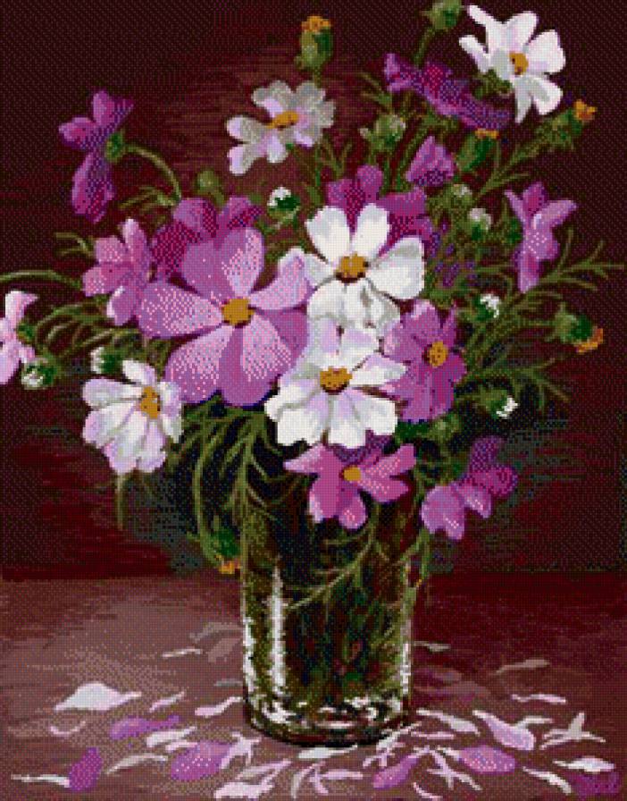 Космеи - цветы, натюрморт - предпросмотр