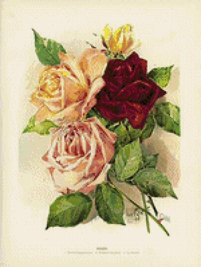 №530941 - предпросмотр