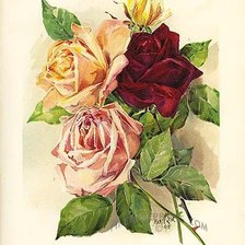 Схема вышивки «№530941»