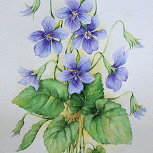 Схема вышивки «№531023»