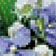Предпросмотр схемы вышивки «№531026»