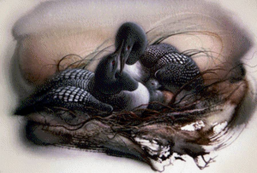 ли богл 36 гагары - картина, птицы, гуси, журавли, пара, ли богл, живопись, лебеди - предпросмотр