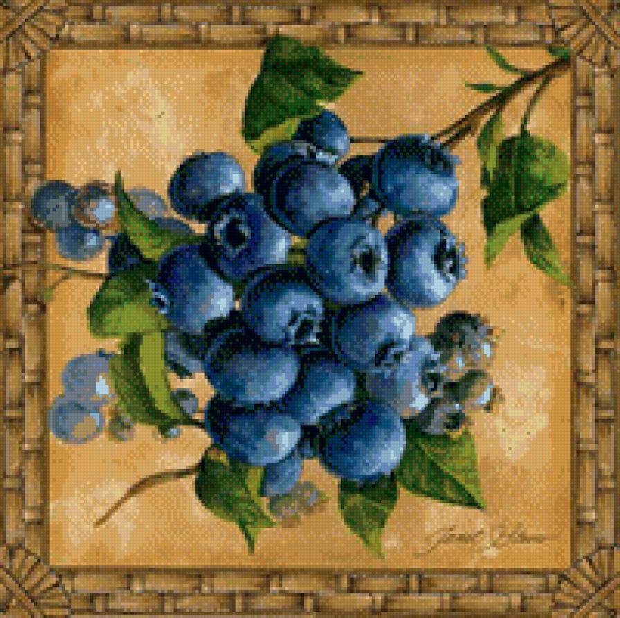 черника - кухня, ягоды - предпросмотр