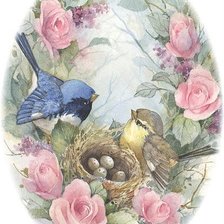 Схема вышивки «у гнездышка»