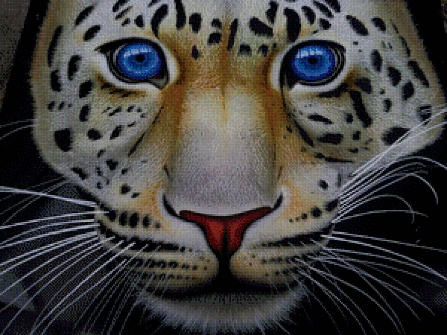 большая кошка - мир животных - предпросмотр