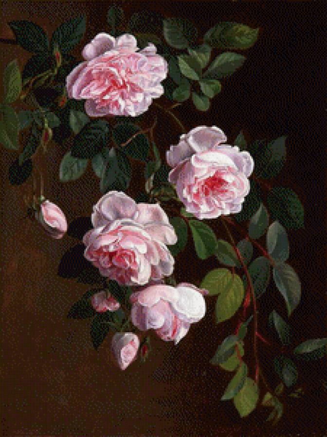 английская роза - роза, флора, цветы, букет, ветка, природа - предпросмотр