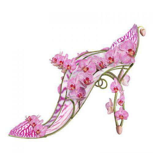 туфелька из орхидей - дамские штучки, обувь, туфля - оригинал