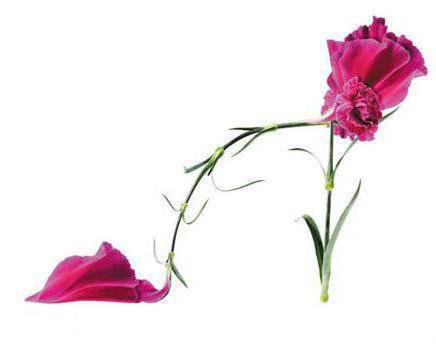 туфелька - обувь, дамские штучки - оригинал