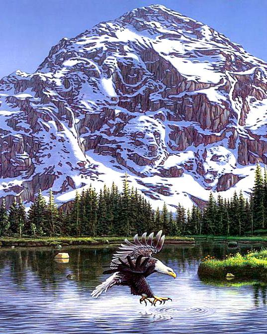 Полет орла - звери, иллюзия, горы, пейзаж, орлы, птицы - оригинал