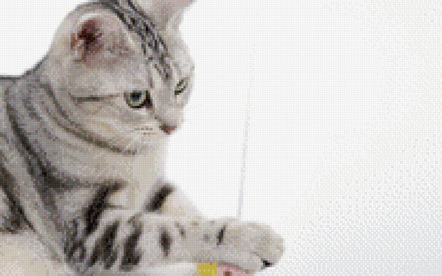 а - предпросмотр