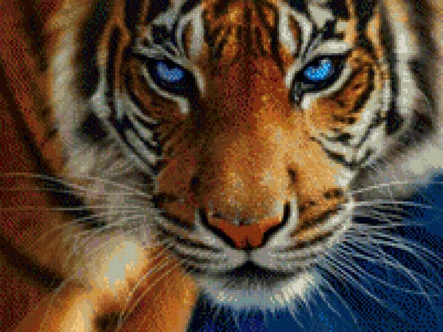 т2 - предпросмотр