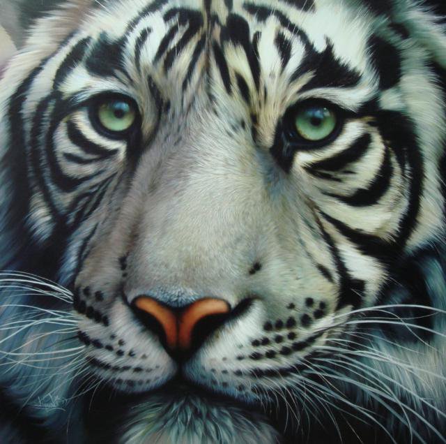 т3 - оригинал