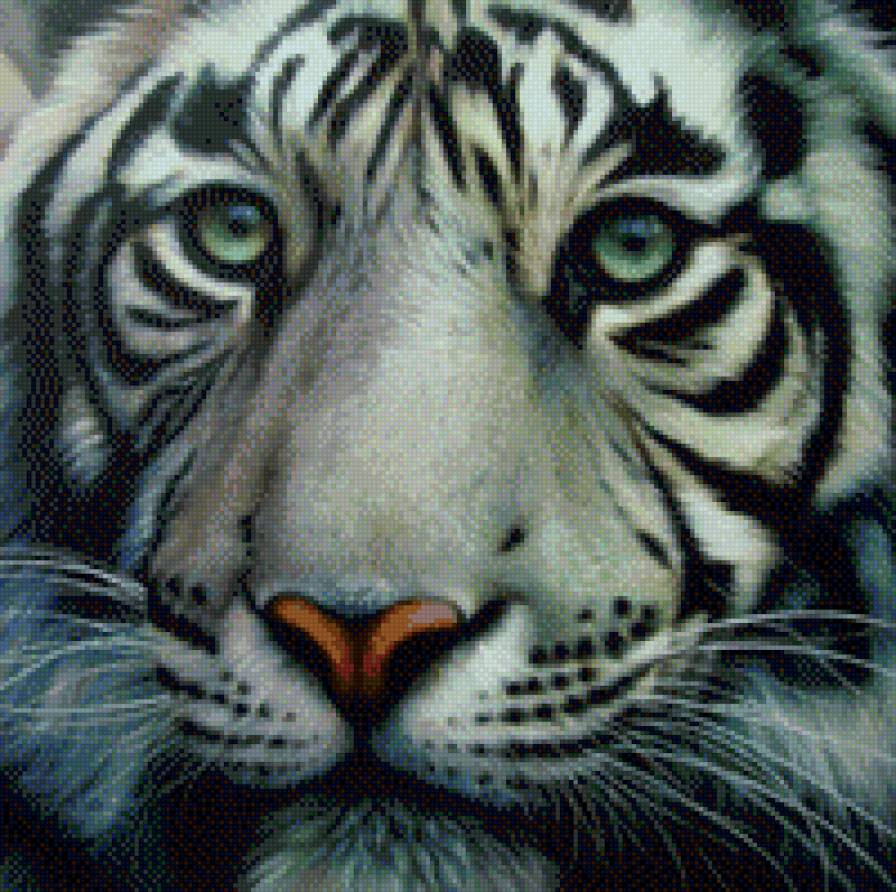 т3 - предпросмотр