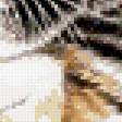 Предпросмотр схемы вышивки «тигрята» (№532138)