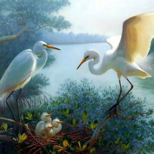 Схема вышивки «белые цапли»