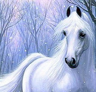 белый конь зимой - любимцы, животные, снег, пейзаж, зима, конь, природа - оригинал