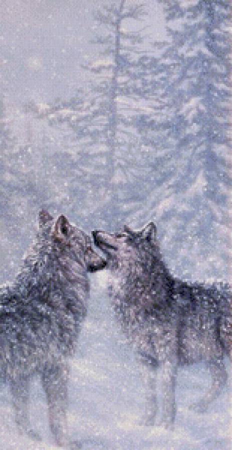 волки снегопад - зима, вьюга, природа, снег, волки, хищники - предпросмотр