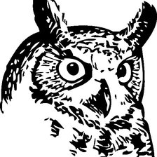 Схема вышивки «сыч»
