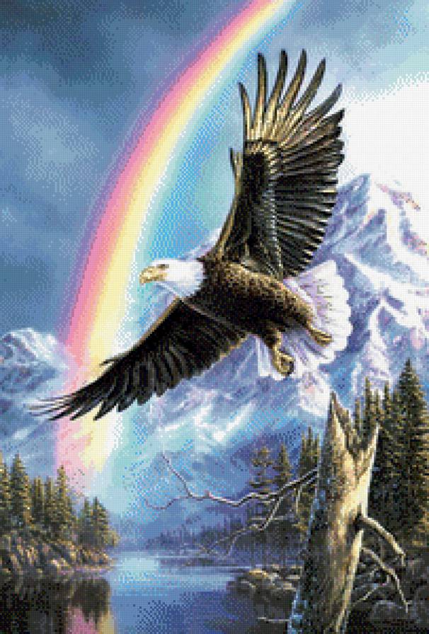 орел - птицы, животные, орлы - предпросмотр