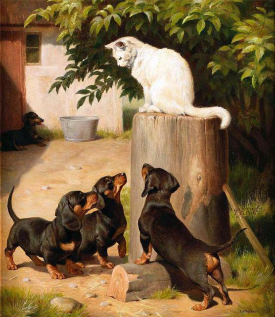 таксы и кот - животные, собаки - оригинал