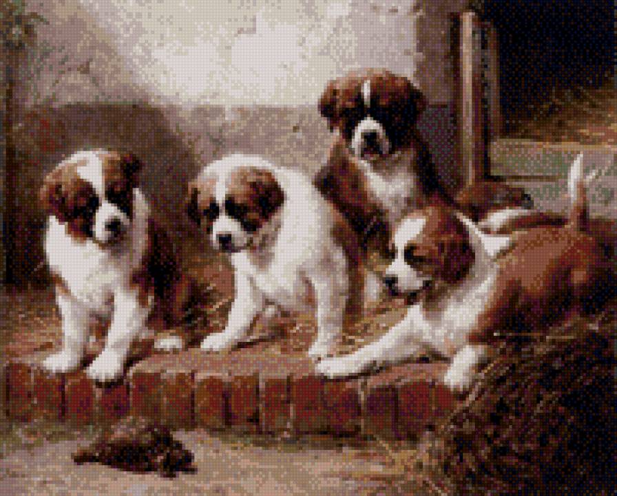 любопытные щенки - собаки - предпросмотр