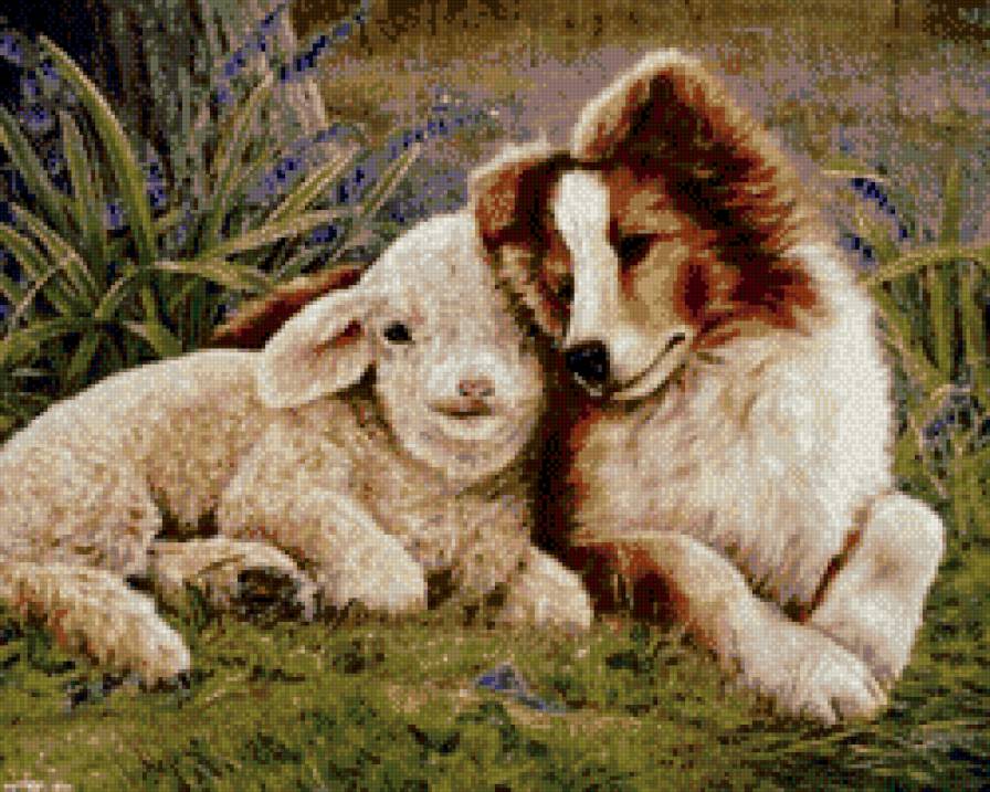 друзья - собаки - предпросмотр