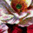 Предпросмотр схемы вышивки «маки» (№532279)