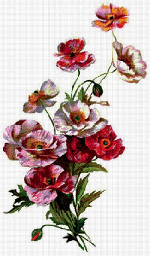 маки - природа, гирлянда, ветка, венок, букет, маки, цветы - предпросмотр