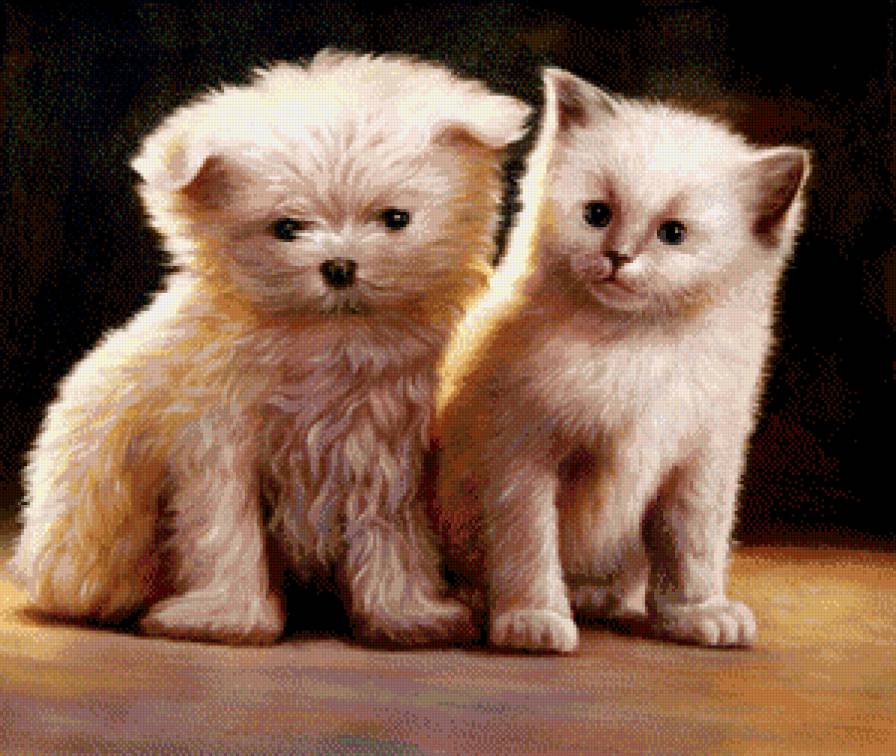 Друзья - животные, кошки, собаки - предпросмотр