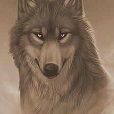 Схема вышивки «Волчий взгляд (живопись)»