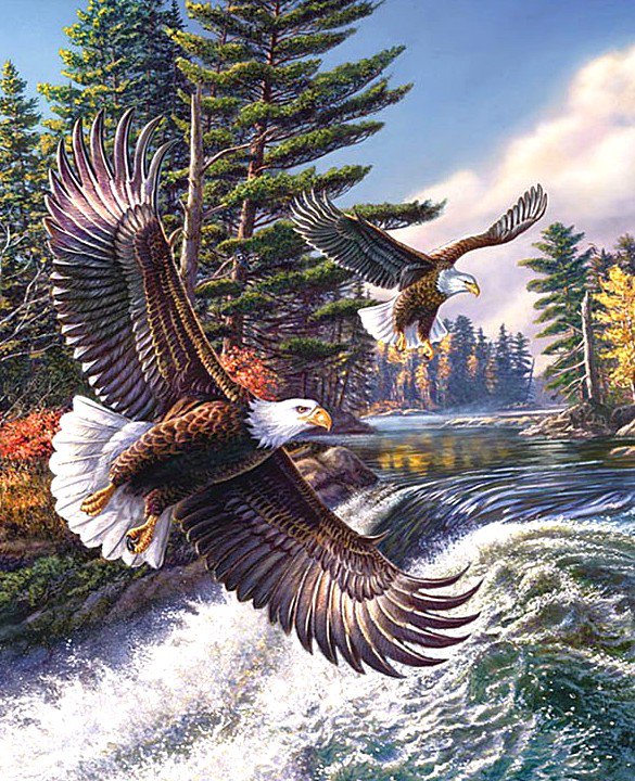 Полёт над водопадом - пейзаж, птицы, орлы, водопад - оригинал