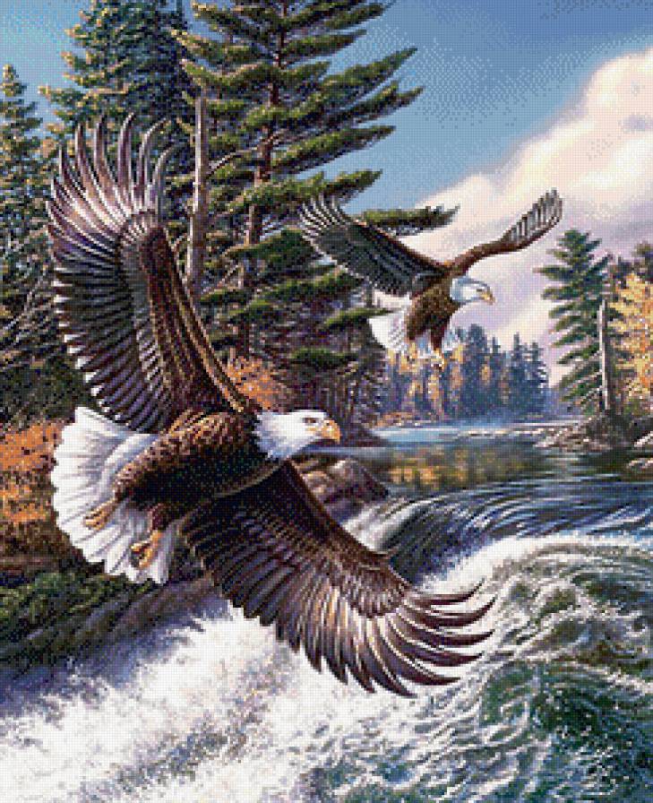 Полёт над водопадом - птицы, водопад, пейзаж, орлы - предпросмотр