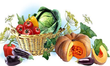 №532516 - оригинал