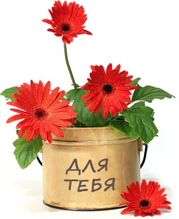 №532524 - оригинал