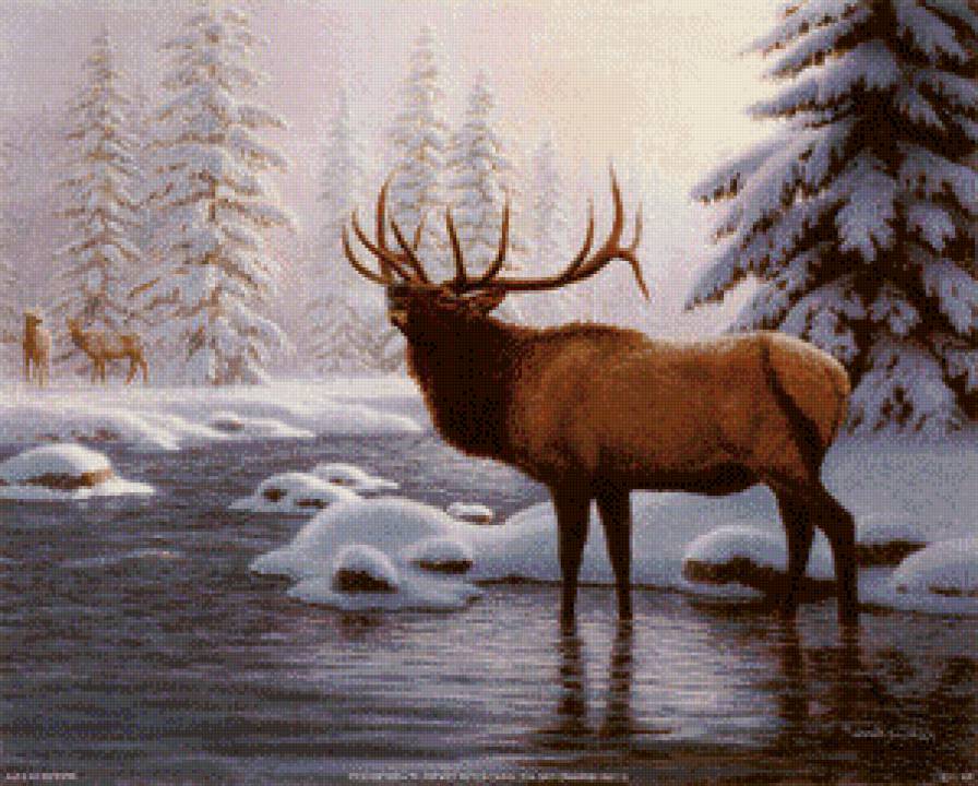 олень - зима, лес, олени, река, косули, дикиеживотные, природа - предпросмотр