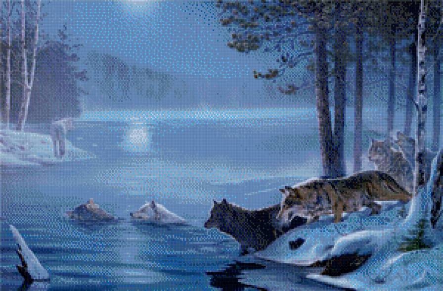 волки на переправе - зима, животные, волк, пейзаж, картина, поляна, природа, лес, хищники - предпросмотр