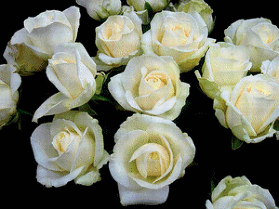 букет - сер.цветы - предпросмотр