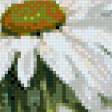 Предпросмотр схемы вышивки «ромашки» (№532827)