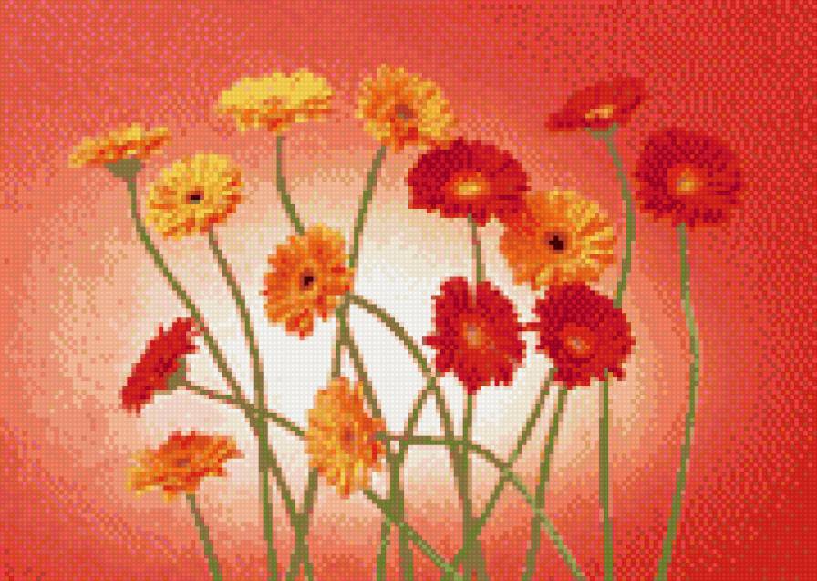 герберы - предпросмотр