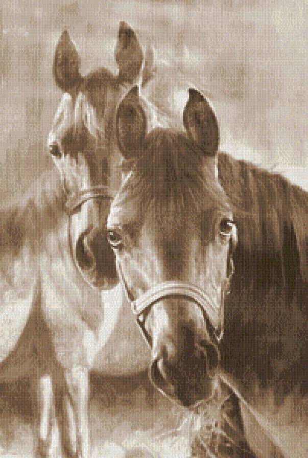 Пара лошадок (живопись) - монохром, животные, сепия, пара, лошади, живопись - предпросмотр